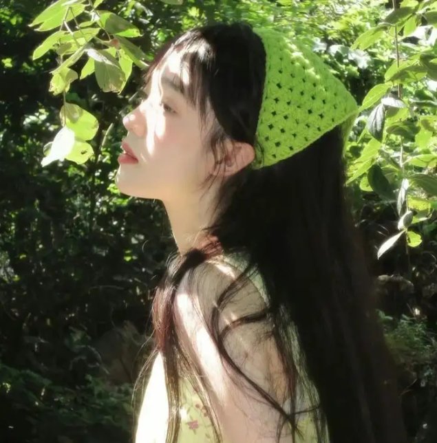 虎鹤双形